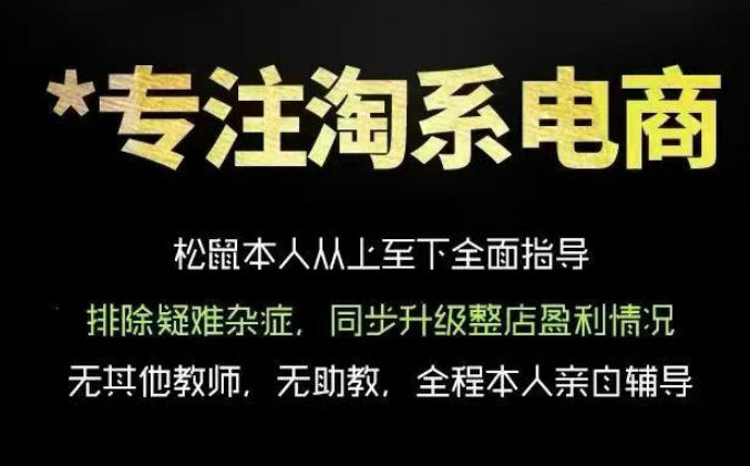 松鼠会电商VIP课程，从基础布局到高阶优化，助你掌握淘宝运营逻辑，提升店铺流量与转化(更新0809)-优优云网创