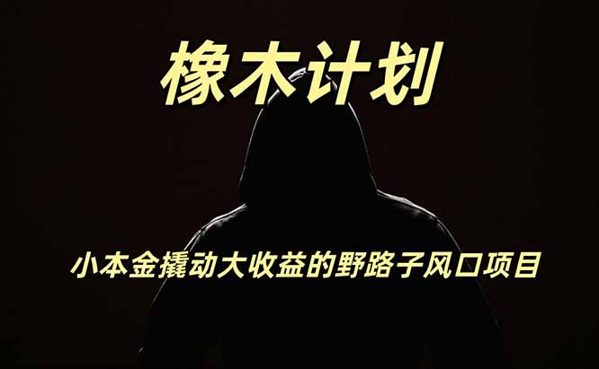 橡木计划，小投入撬动高回报的风口野路子项目，一天投入2小时左右-优优云网创