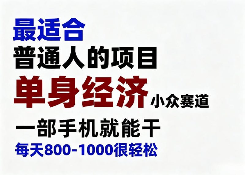 身经济小众赛道，一部手机就能干，每天搞个800-1000很轻松，最适合普通人的项目【揭秘】-优优云网创